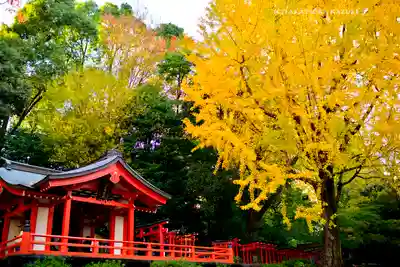 根津神社(東京都)
