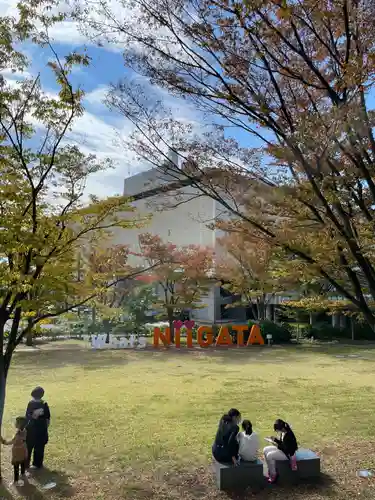 白山神社の御朱印