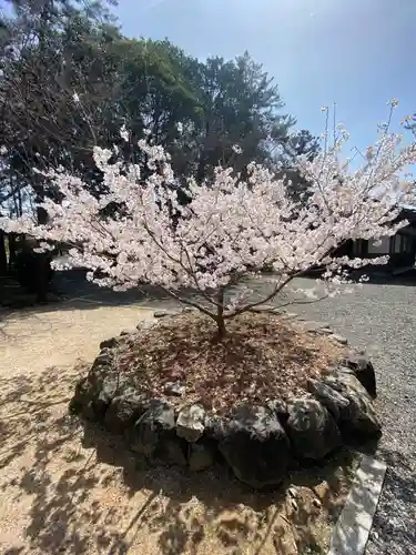 建部大社の自然