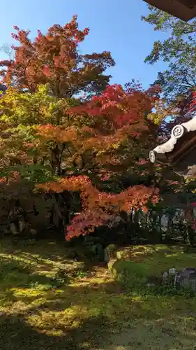 清凉寺(京都府)