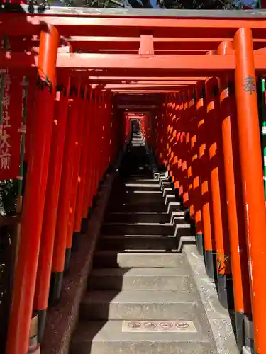 日枝神社の鳥居