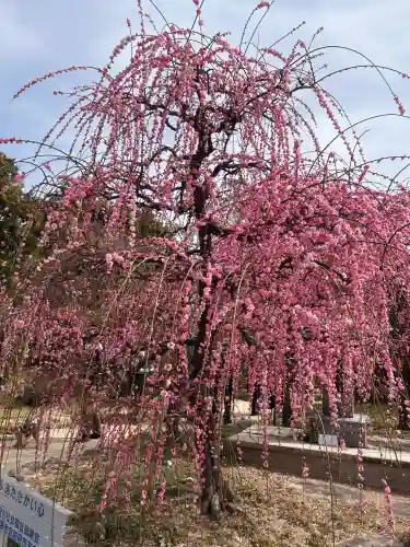 防府天満宮の{uncategorized: "未分類", other: "その他", undefined: "問題あり", building: "その他建物", grave: "お墓", sacred_gate: "鳥居", guardian: "狛犬", statue: "像", buddha: "仏像", history: "歴史", nature: "自然", garden: "庭園", animal: "動物", pagoda: "塔", temizu: "手水舎", mountain_gate: "山門・神門", sanctuary: "本殿・本堂", subordinate: "末社・摂社", art: "芸術", scenery: "景色", jizo: "地蔵", ema: "絵馬", goshuin: "御朱印", omikuji: "おみくじ", items: "授与品その他", amulet: "お守り", goshuincho: "御朱印帳", eats: "食事", festival: "お祭り", votive_dance: "神楽", shichigosan: "七五三参", wedding: "結婚式", experience: "体験その他", initially: "初詣", around: "周辺", anti_infection: "感染症対策"}