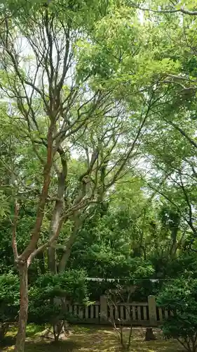 伊和都比売神社(兵庫県)