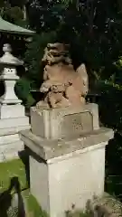 弟橘比賣神社の狛犬