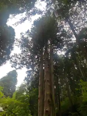 御岩神社(茨城県)