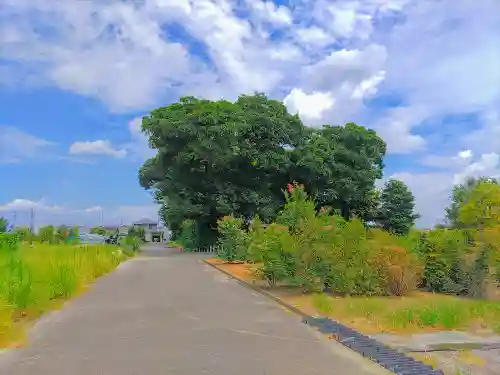 神明社（横野）の自然
