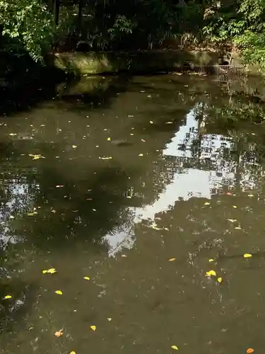 賀茂神社の庭園