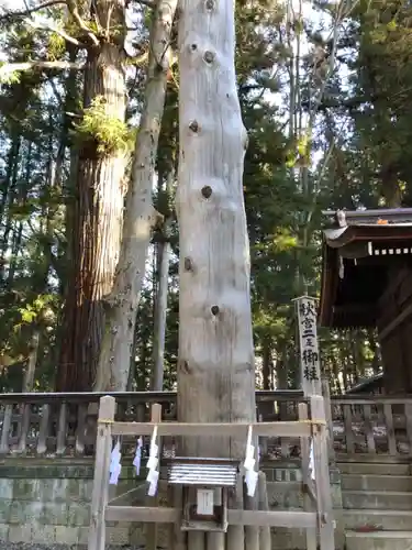 諏訪大社下社秋宮の自然