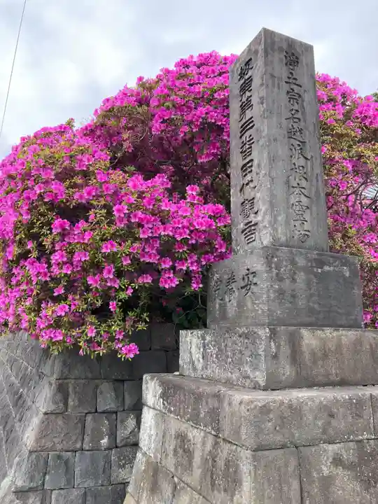 安養院 (田代寺)(神奈川県)