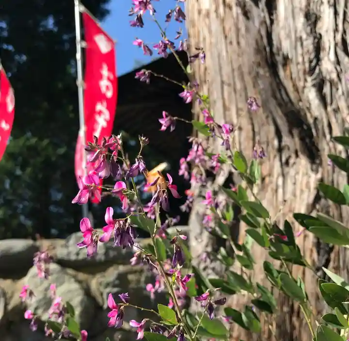 高司神社〜むすびの神の鎮まる社〜のその他建物