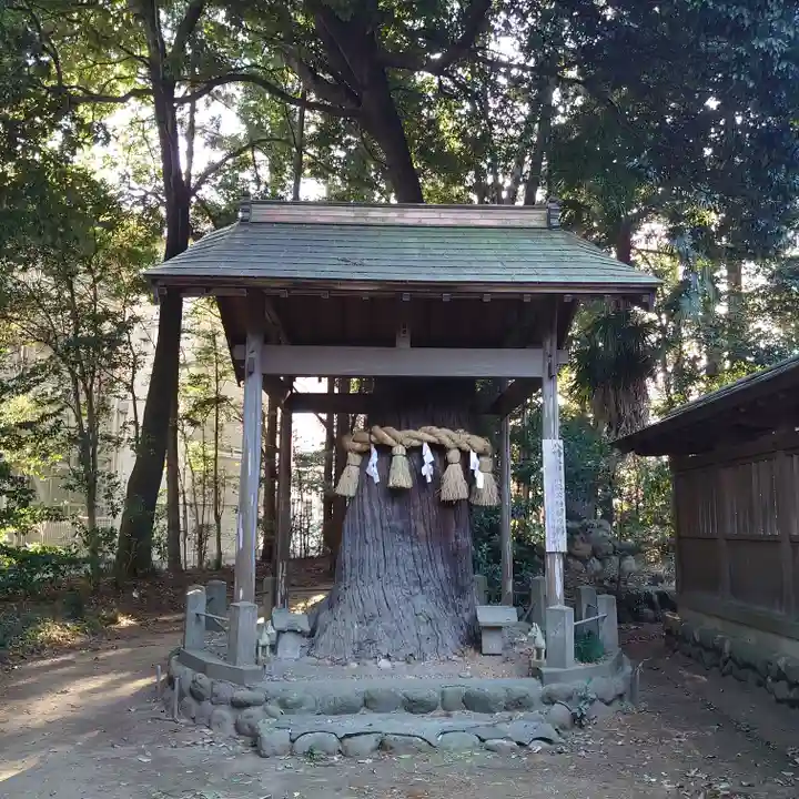 三ケ尻八幡神社の自然