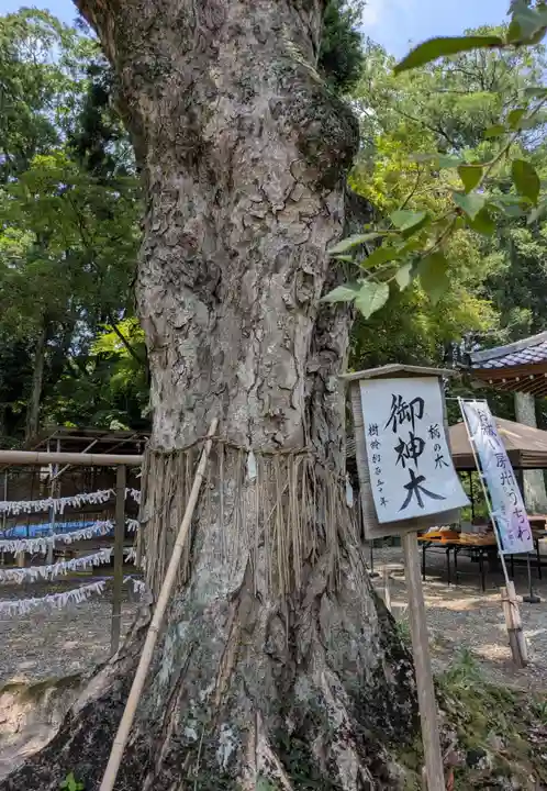 小御門神社(千葉県)