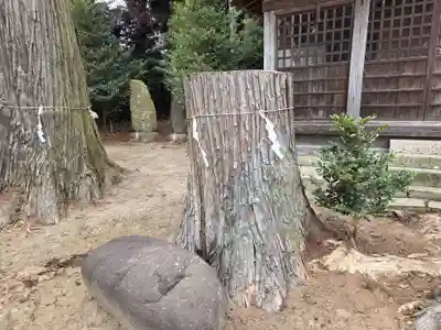 高龗神社(芦沼町)(栃木県)