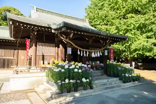 峯ヶ岡八幡神社の本殿