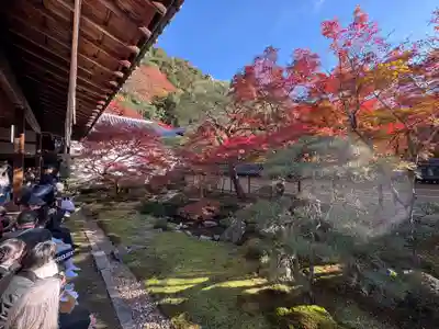 禅林寺(永観堂)(京都府)