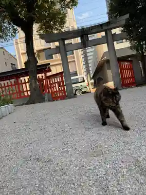 十日恵比須神社(福岡県)