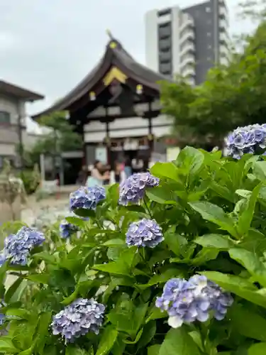 三輪神社(愛知県)