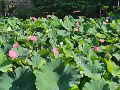 善光寺大勧進(長野県)