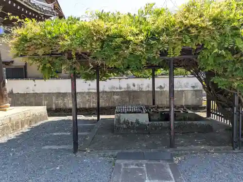 大善寺(京都府)