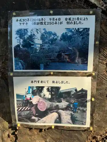 沙沙貴神社の自然