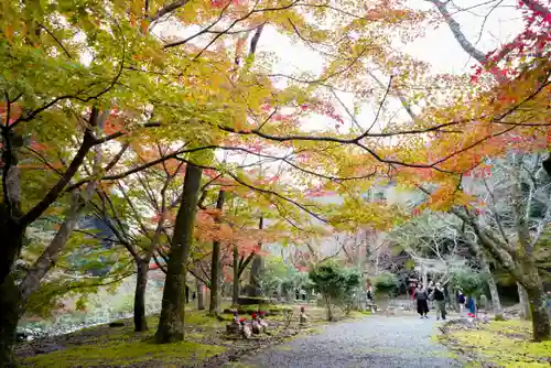 大寧寺(山口県)