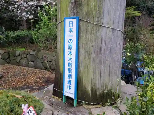 福岡縣護國神社の鳥居