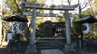 素盞雄神社の鳥居