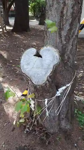 大谷地神社の自然