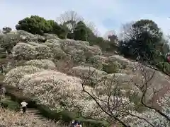 中山寺の自然