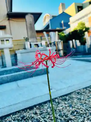 妙泉寺(岐阜県)