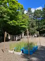 上川神社の庭園