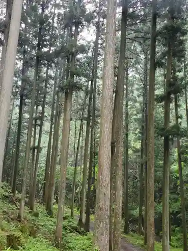 賀蘇山神社の周辺