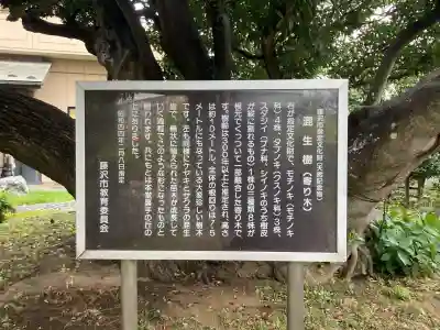 慈眼寺(神奈川県)