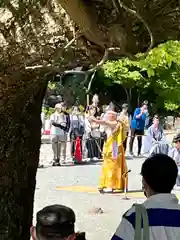 鎌倉宮(神奈川県)