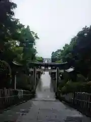 宮地嶽神社の鳥居