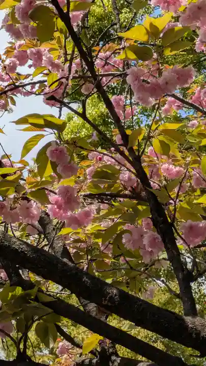 了徳院(大阪府)