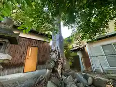 素盞嗚神社(奈良県)