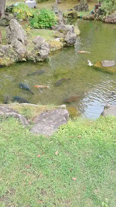 北海道護國神社の動物