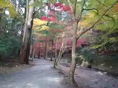 小國神社の自然