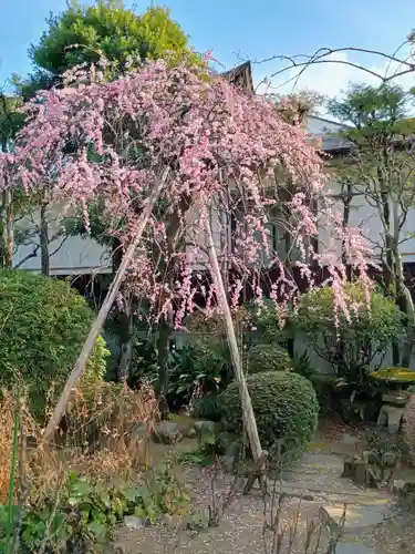 本妙院(東京都)