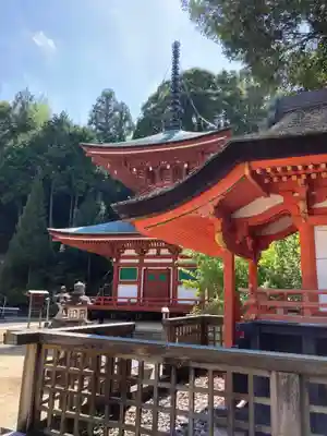 慈尊院の本殿・本堂