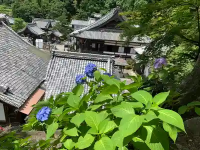 柳谷観音　楊谷寺のその他建物