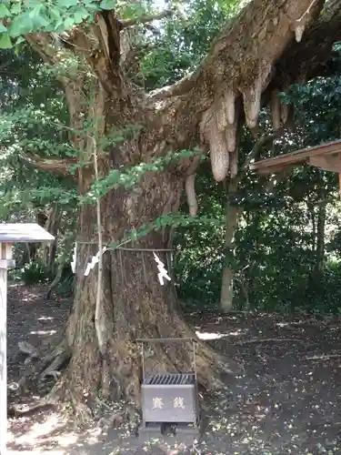 鎌数伊勢大神宮(千葉県)