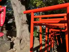 品川神社(東京都)