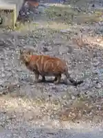 宇都宮神社(下彦間町)(栃木県)