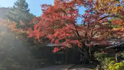 神藏寺(京都府)