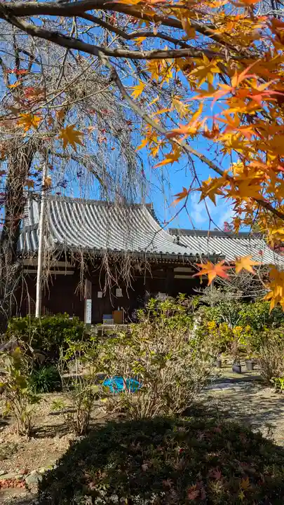 法金剛院(京都府)