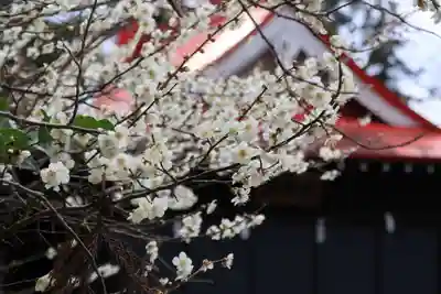 豊景神社の自然