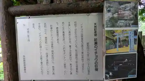素盞雄神社(奈良県)