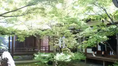 建仁寺（建仁禅寺）(京都府)